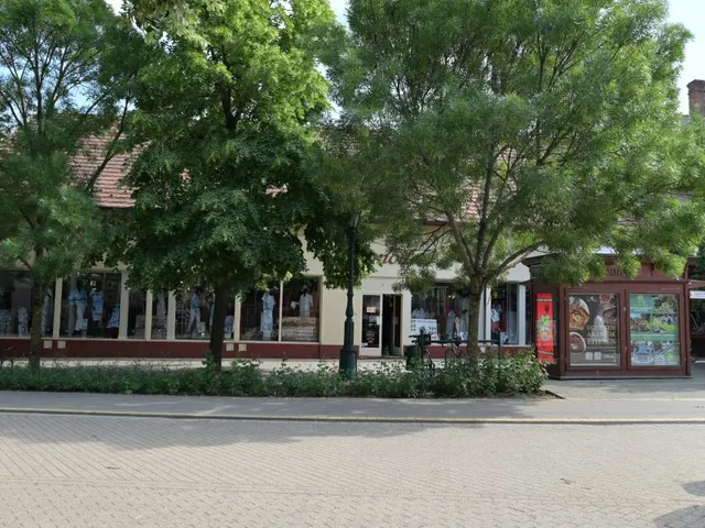 Eladó kereskedelmi és ipari ingatlan Gyula 234 nm