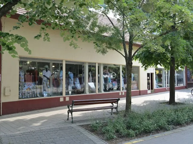 Kiadó kereskedelmi és ipari ingatlan Gyula, Városház utca 234 nm