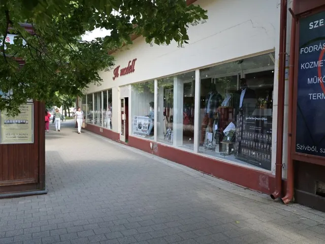 Kiadó kereskedelmi és ipari ingatlan Gyula, Városház utca 234 nm