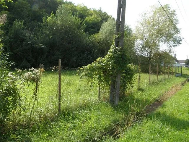 Eladó telek Kaposvár, Kecelhegy 1032 nm