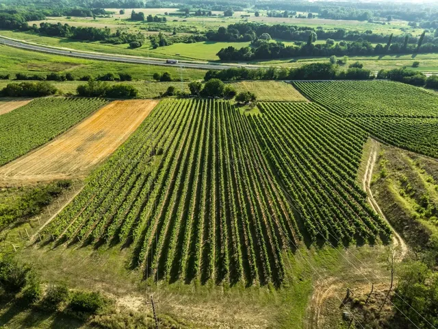 Eladó mezőgazdasági ingatlan Látrány 20 nm