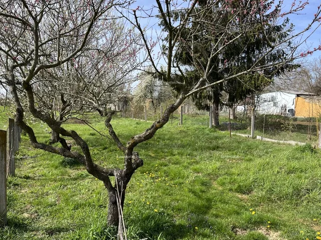 Kiadó ház Juta, Szőlőhegy 30 nm