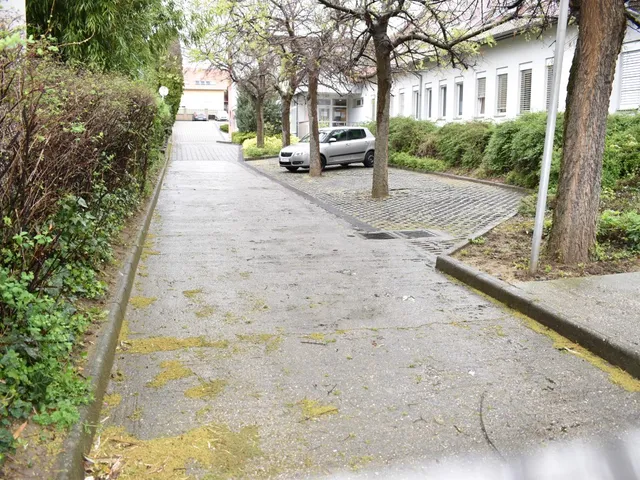 Kiadó kereskedelmi és ipari ingatlan Pécs, Belváros, Endresz György utca 1138 nm