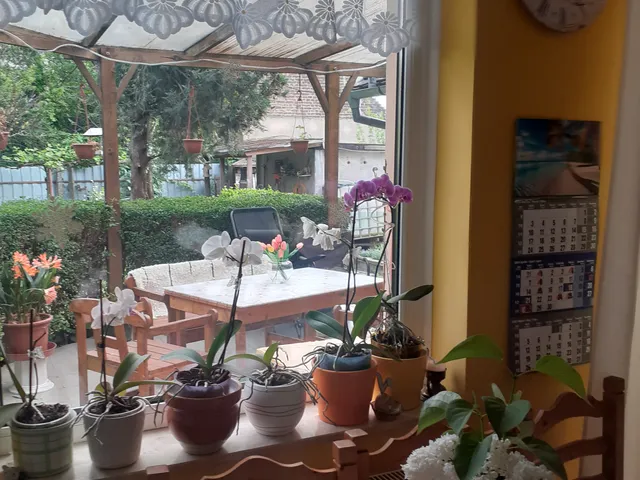 Eladó ház Pécs, Remény utca 120 nm