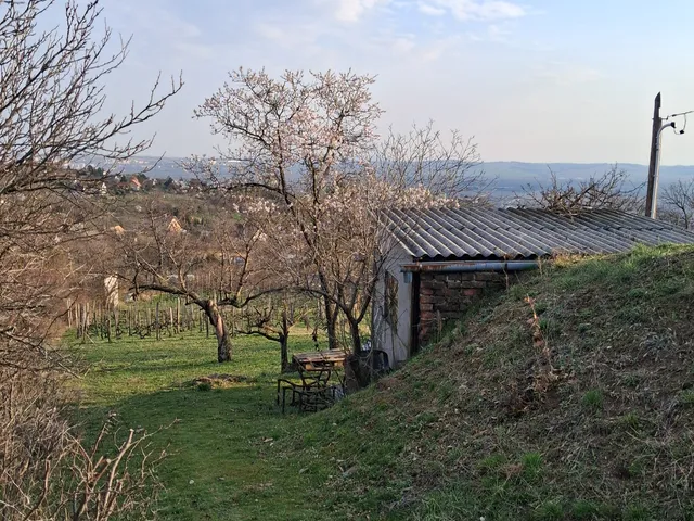 Eladó telek Pécs, Patacs 1300 nm