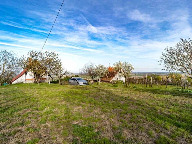 Eladó mezőgazdasági ingatlan Szekszárd, Palánkihegy, Palánki hegy 50 nm