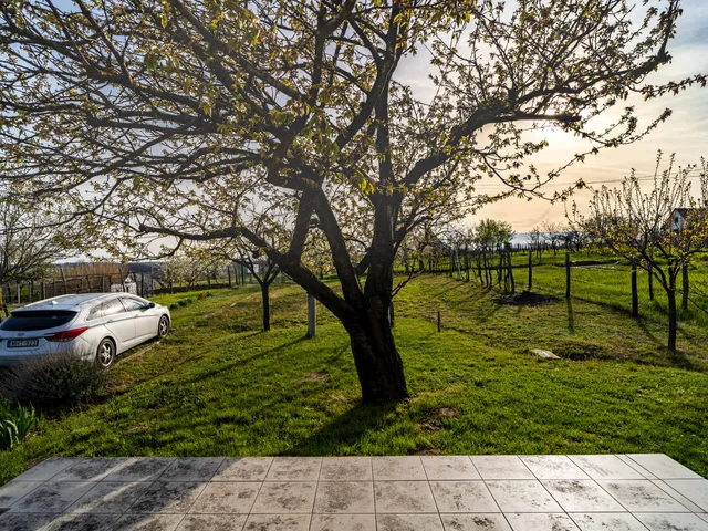 Eladó mezőgazdasági ingatlan Szekszárd, Palánkihegy, Palánki hegy 50 nm