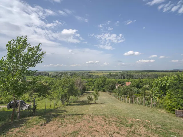 Eladó mezőgazdasági ingatlan Szekszárd, Palánkihegy, Árnyas szurdik 63 nm