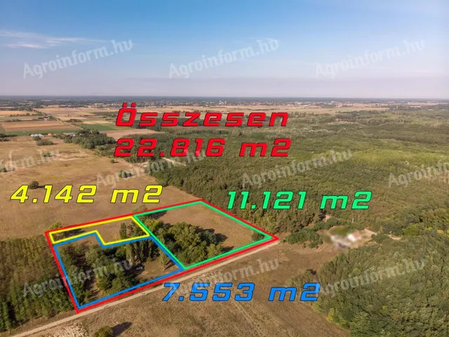 Eladó mezőgazdasági ingatlan Lajosmizse 80 nm