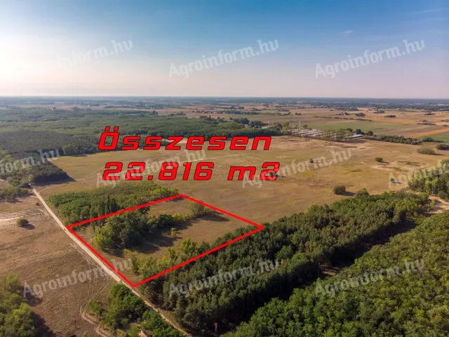 Eladó mezőgazdasági ingatlan Lajosmizse, Dörney dűlő 80 nm