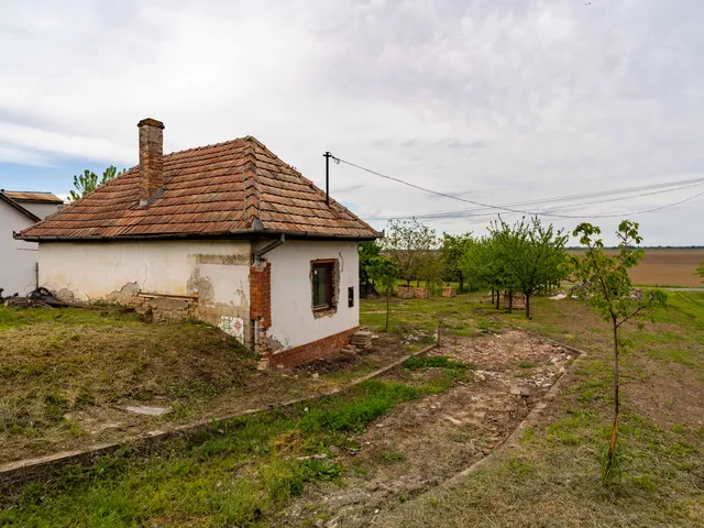 Eladó mezőgazdasági ingatlan Decs 22 nm