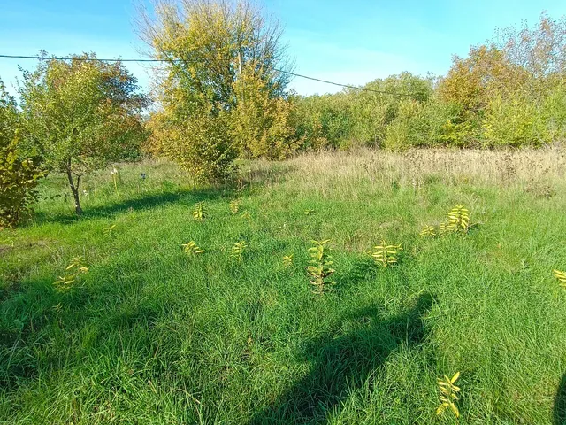 Eladó telek Szabadbattyán 967 nm