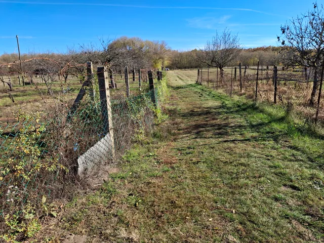 Eladó mezőgazdasági ingatlan Debrecen, Pac 20 nm