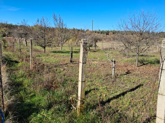 Eladó mezőgazdasági ingatlan Debrecen, Pac 20 nm