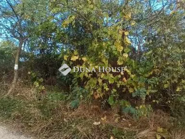 Eladó telek Kissomlyó, Nincs utca 788 nm