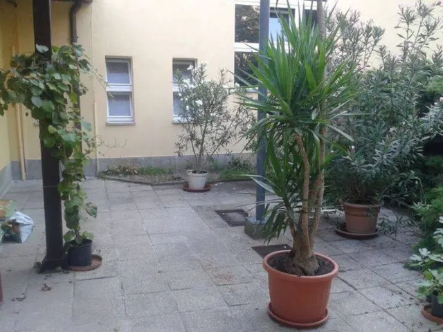 Kiadó kereskedelmi és ipari ingatlan Békéscsaba, Kazinczy-lakótelep, Kazinczy utca 15 nm