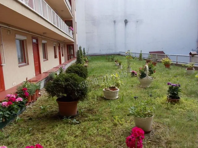 Kiadó lakás Békéscsaba 70 nm