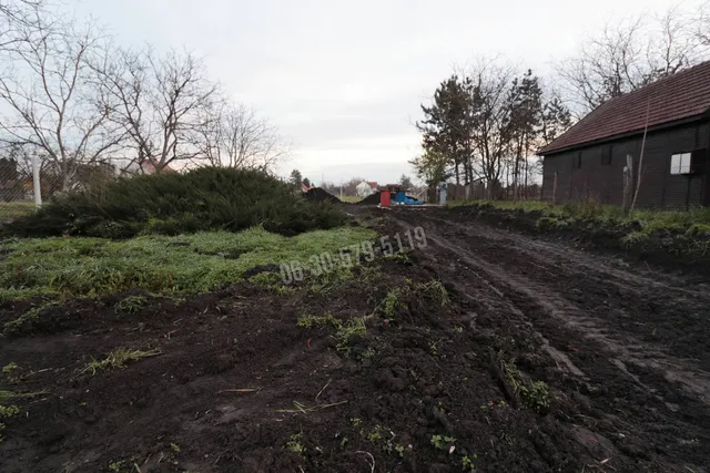 Eladó telek Orosháza, Gyopárosfürdő, Tulipán utca 540 nm