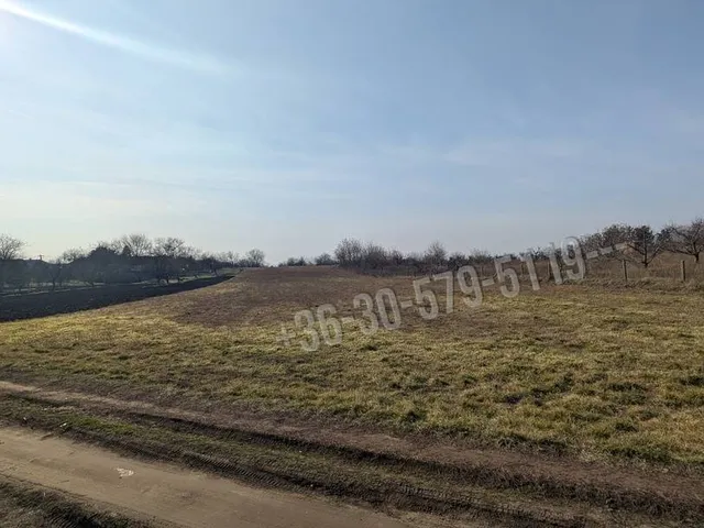Eladó telek Orosháza 4704 nm