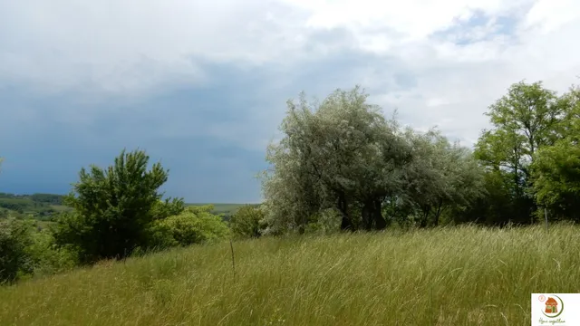 Eladó telek Tinnye 5050 nm