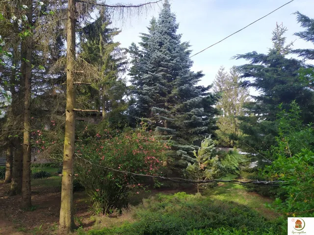 Eladó ház Piliscsaba, Klotildliget 80 nm