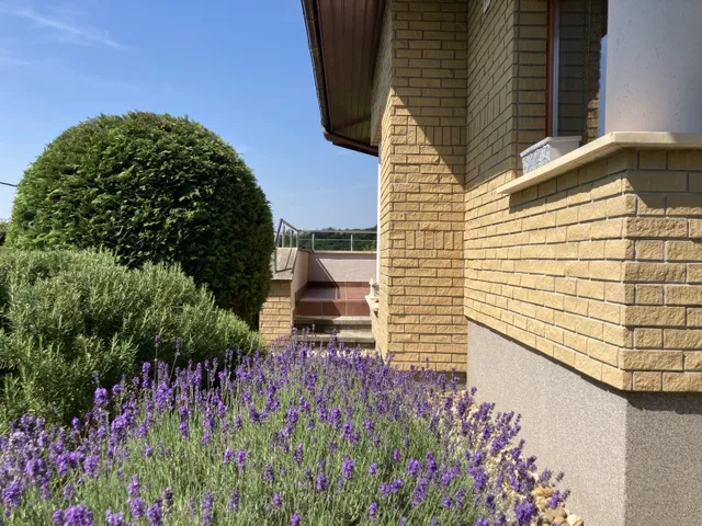 Eladó ház Piliscsaba, Garancsliget 284 nm