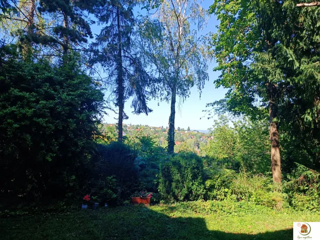Eladó ház Szentendre, HANGULATOS HÁZ CSODÁLATOS KÖRNYEZETBEN SZENTENDRÉN 169 nm