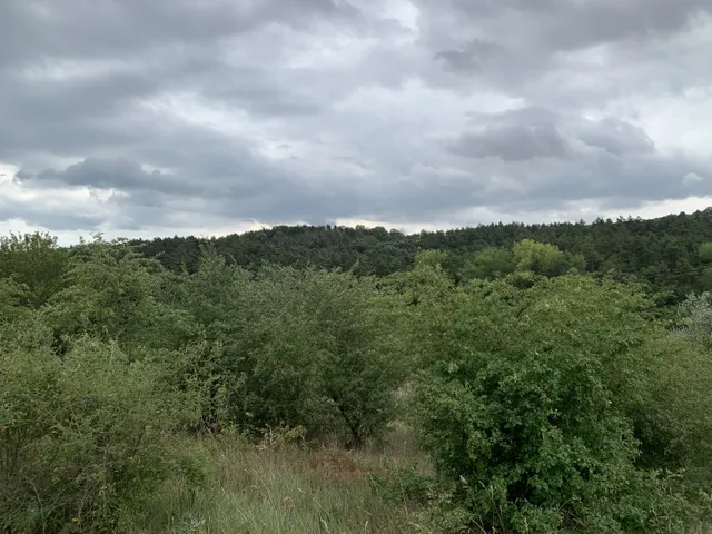 Eladó telek Tinnye 2588 nm