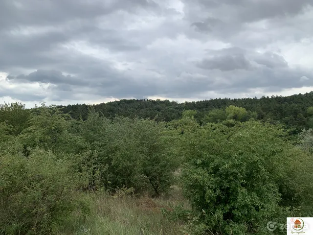 Eladó telek Tinnye, Királyvölgyi panorámás telek 4633 nm