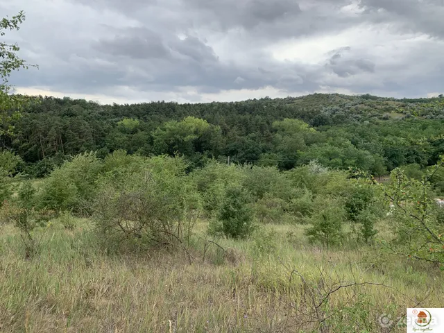 Eladó telek Tinnye, Királyvölgyi panorámás telek 4633 nm