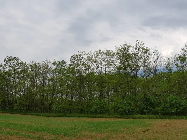 Eladó mezőgazdasági ingatlan Őrbottyán, 2103-as út 4680 nm