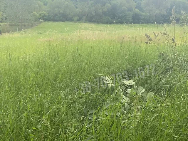 Eladó telek Erdőkürt, Kossuth Lajos utca 1620 nm
