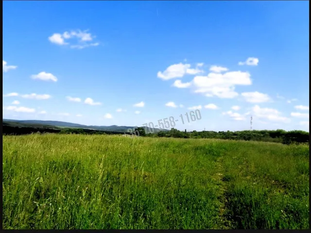 Eladó telek Vác, Deákvár 48114 nm