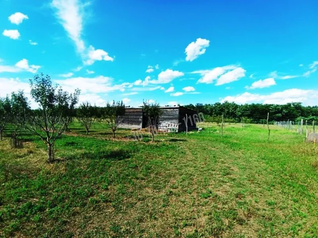 Eladó telek Sződ 150000 nm