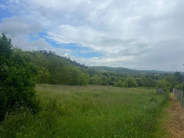 Eladó telek Nógrádsáp 3639 nm