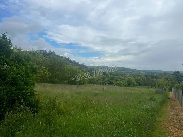Eladó telek Nógrádsáp 3639 nm