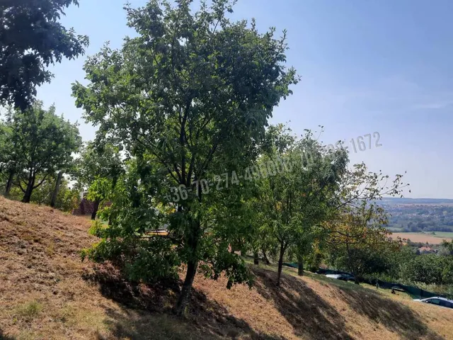 Eladó telek Cserszegtomaj, Palotai utca 1597 nm