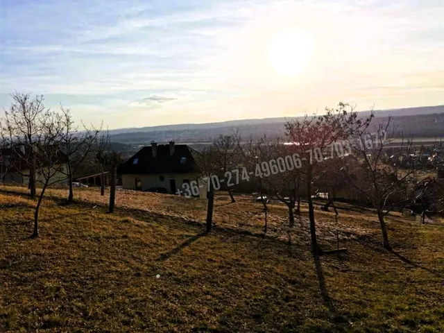 Eladó telek Cserszegtomaj, Palotai utca 1597 nm