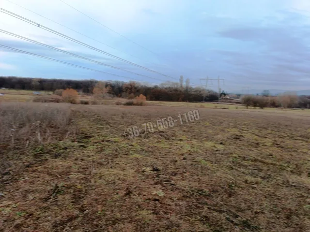 Eladó telek Őrbottyán 15000 nm