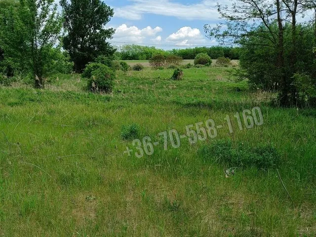 Eladó telek Őrbottyán 15000 nm