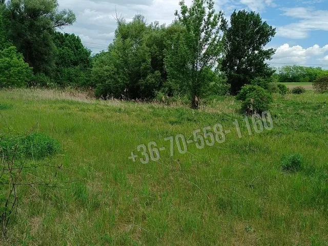 Eladó telek Őrbottyán 11000 nm