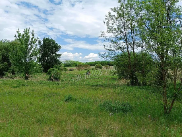 Eladó telek Őrbottyán 11000 nm