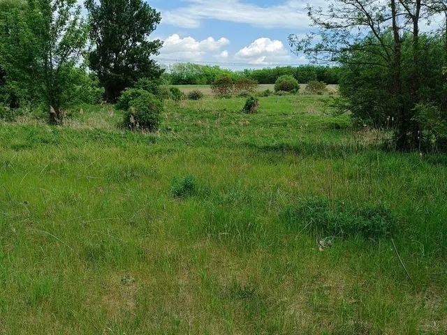 Eladó telek Őrbottyán 11000 nm