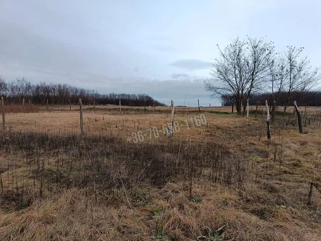 Eladó telek Őrbottyán, Őrszentmiklós 1313 nm