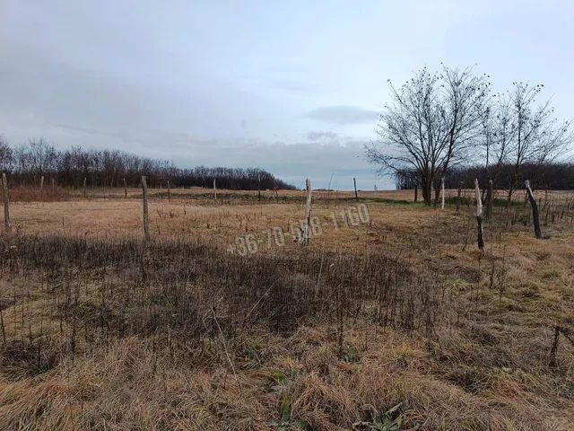 Eladó telek Őrbottyán, Őrszentmiklós 1313 nm