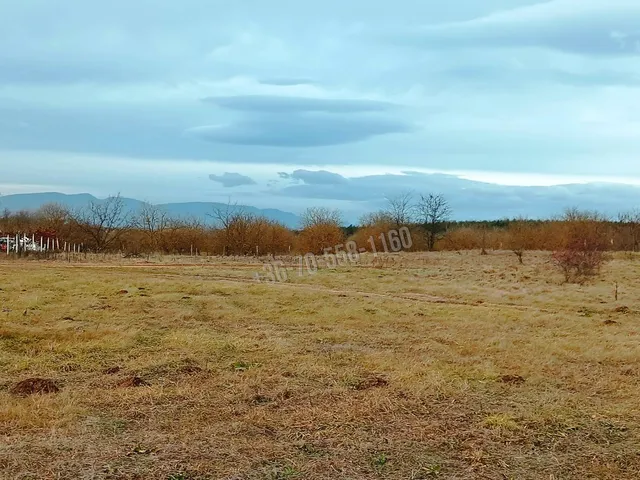 Eladó telek Őrbottyán, Őrszentmiklós 1313 nm