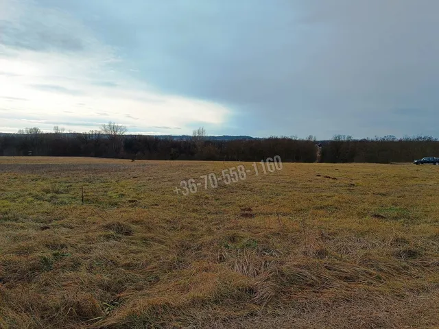 Eladó telek Őrbottyán, Őrszentmiklós 1313 nm