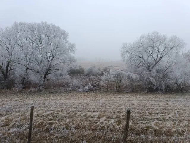 Eladó telek Őrbottyán 100000 nm