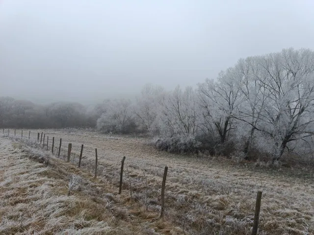 Eladó telek Őrbottyán 100000 nm