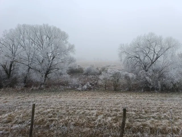 Eladó telek Őrbottyán 100000 nm
